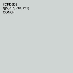 #CFD5D3 - Conch Color Image