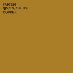 #A97E26 - Copper Color Image