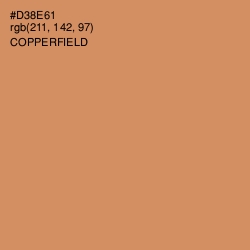 #D38E61 - Copperfield Color Image