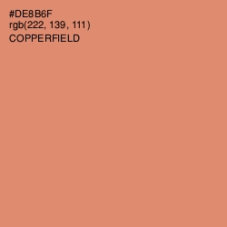 #DE8B6F - Copperfield Color Image