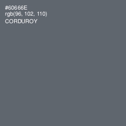 #60666E - Corduroy Color Image