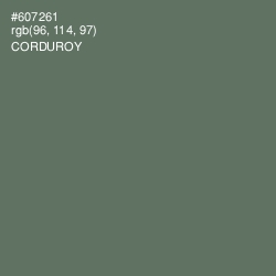 #607261 - Corduroy Color Image