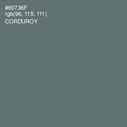 #60736F - Corduroy Color Image