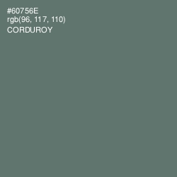 #60756E - Corduroy Color Image