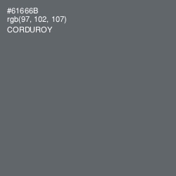 #61666B - Corduroy Color Image