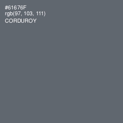 #61676F - Corduroy Color Image