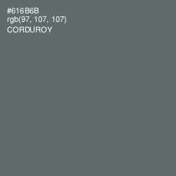 #616B6B - Corduroy Color Image