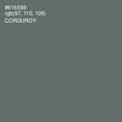 #616E69 - Corduroy Color Image