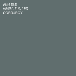 #616E6E - Corduroy Color Image