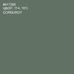 #617265 - Corduroy Color Image