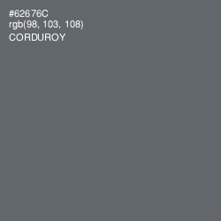#62676C - Corduroy Color Image