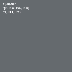 #646A6D - Corduroy Color Image
