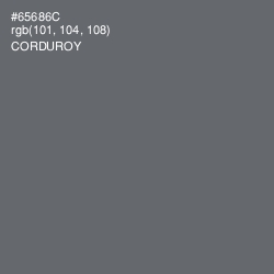 #65686C - Corduroy Color Image