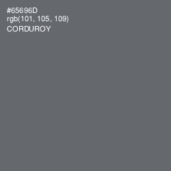 #65696D - Corduroy Color Image