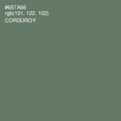 #657A66 - Corduroy Color Image