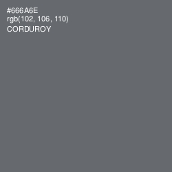 #666A6E - Corduroy Color Image