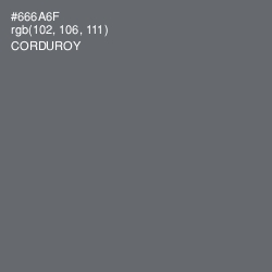 #666A6F - Corduroy Color Image