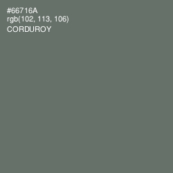#66716A - Corduroy Color Image