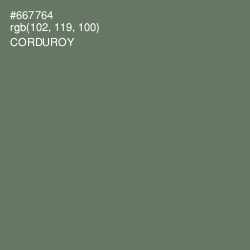 #667764 - Corduroy Color Image