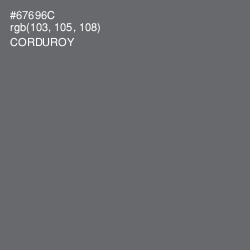 #67696C - Corduroy Color Image