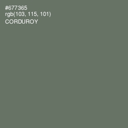 #677365 - Corduroy Color Image