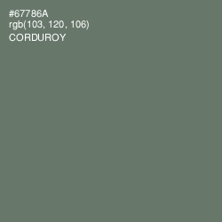 #67786A - Corduroy Color Image