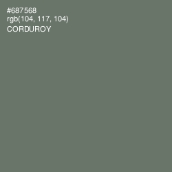 #687568 - Corduroy Color Image