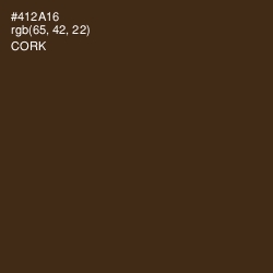 #412A16 - Cork Color Image