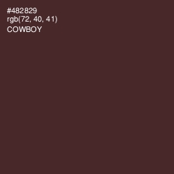 #482829 - Cowboy Color Image