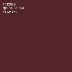 #53252B - Cowboy Color Image