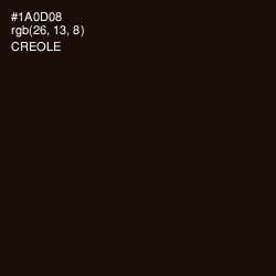 #1A0D08 - Creole Color Image