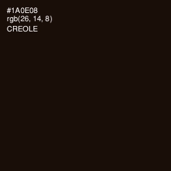 #1A0E08 - Creole Color Image