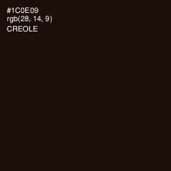 #1C0E09 - Creole Color Image