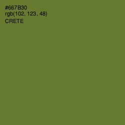 #667B30 - Crete Color Image
