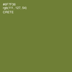 #6F7F36 - Crete Color Image