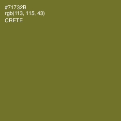 #71732B - Crete Color Image