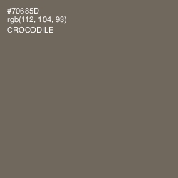 #70685D - Crocodile Color Image
