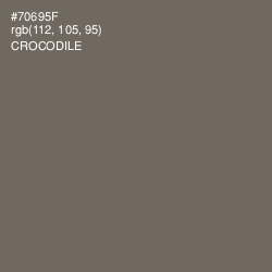 #70695F - Crocodile Color Image