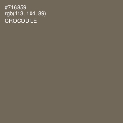 #716859 - Crocodile Color Image