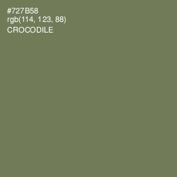 #727B58 - Crocodile Color Image