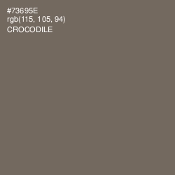 #73695E - Crocodile Color Image