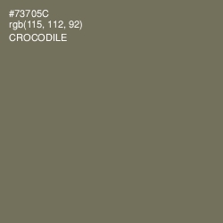 #73705C - Crocodile Color Image