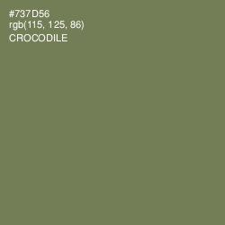#737D56 - Crocodile Color Image