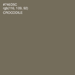#746D5C - Crocodile Color Image