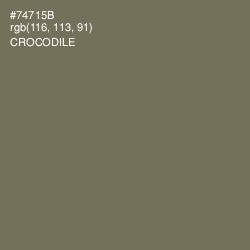 #74715B - Crocodile Color Image