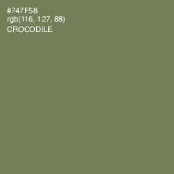 #747F58 - Crocodile Color Image