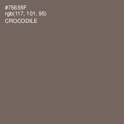 #75655F - Crocodile Color Image
