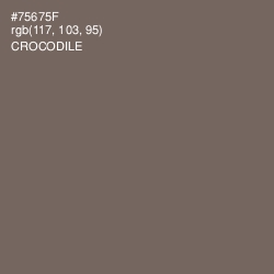 #75675F - Crocodile Color Image