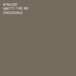 #756C5D - Crocodile Color Image
