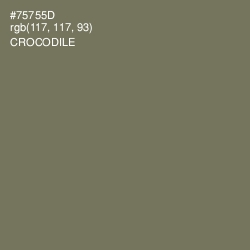 #75755D - Crocodile Color Image
